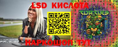 прущие крисы Кимры