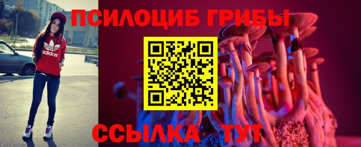 Чапаевск  Псилоцибиновые грибы ЛСД  Вход с VPN 