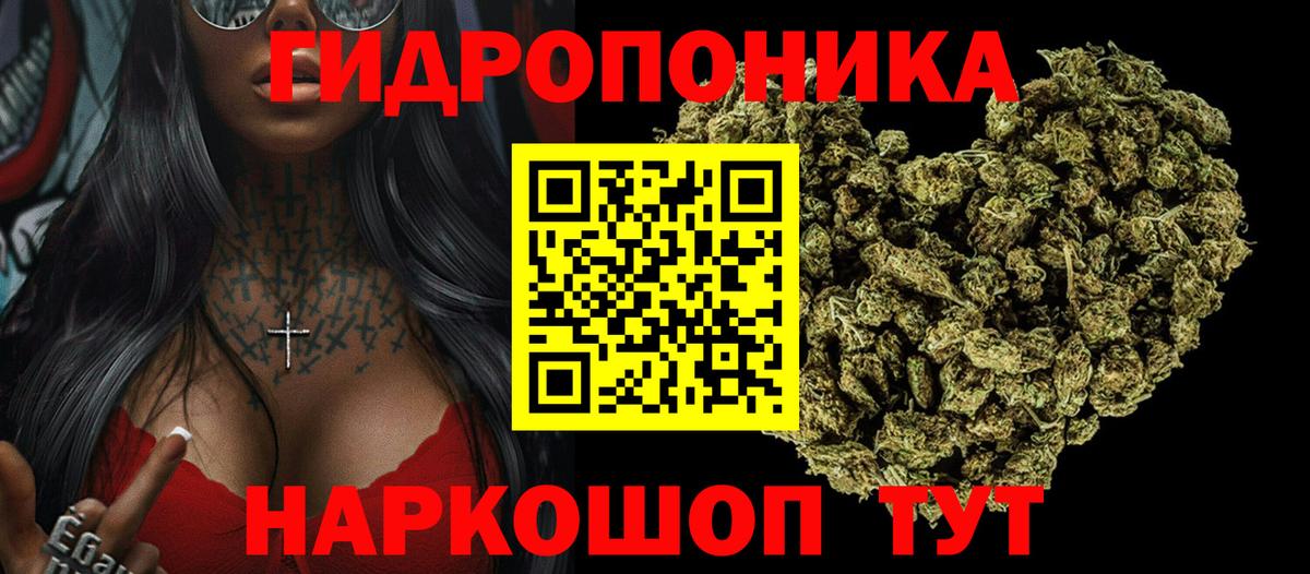 Бошки Шишки семена  Конопля AK-47  Шишки марихуана THC 21%  Чапаевск  Вход с VPN  Канабис ГИДРОПОН 